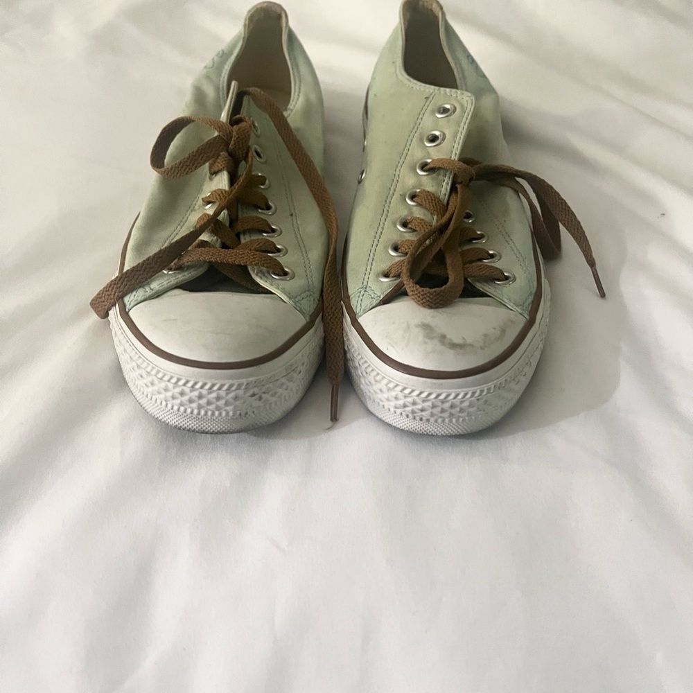 Converse Chuck Taylor Low Women’s Mint Green Bee Embroidered Double tongue